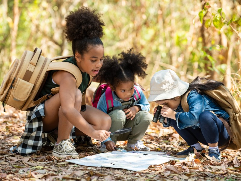 Finding Abundant Curiosity